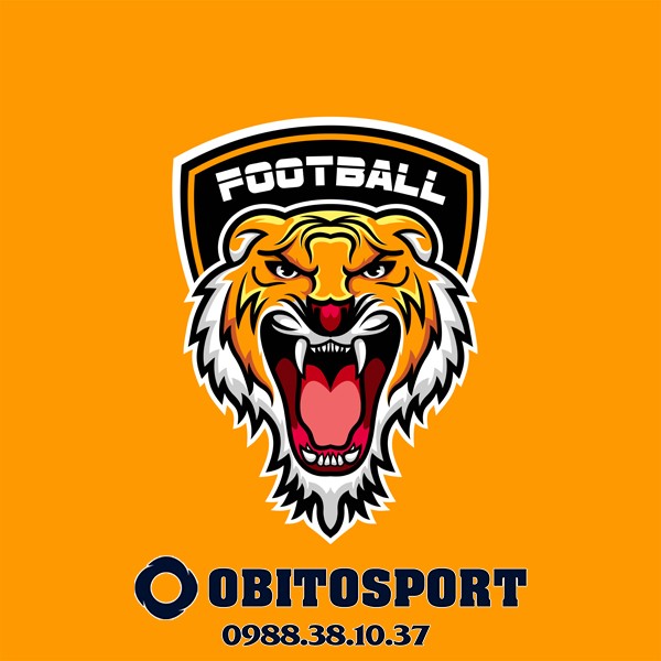 logo bóng đá độc đáo