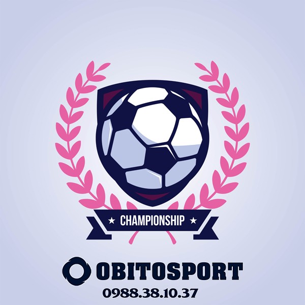 mẫu logo bóng đá đẹp