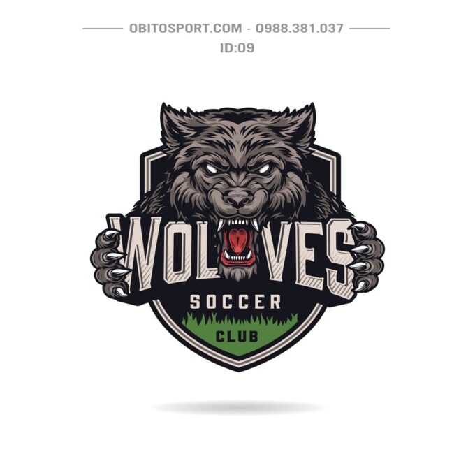 Những Mẫu Logo Bóng Đá Độc Đáo Và Sáng Tạo